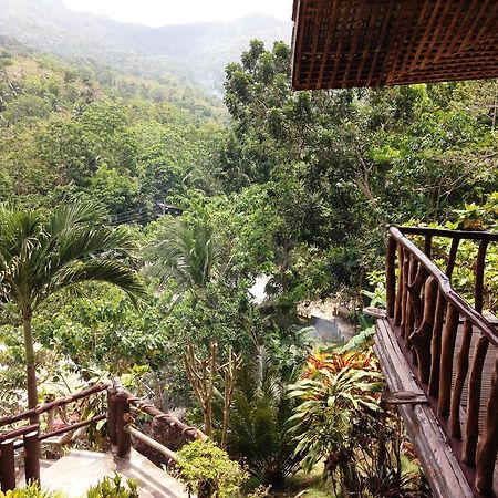 Hilltop Cottages Loboc Bagian luar foto
