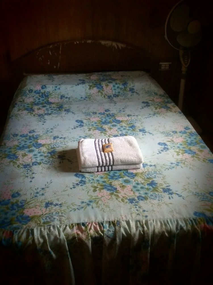 Hilltop Cottages Loboc Bagian luar foto